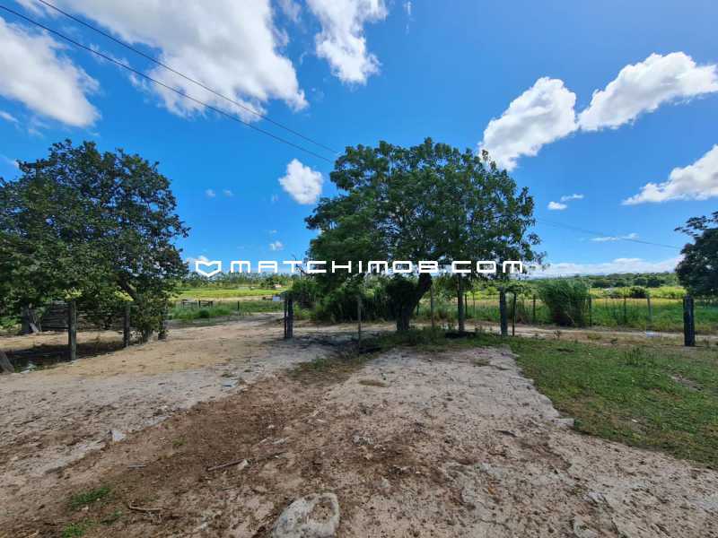 Fazenda Perobas - 14