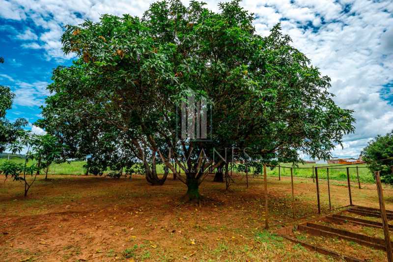 Conheça ad18 do imóvel - Casa 4 quartos para venda e aluguel Centro, Rifaina - R$ 3.000.000 - TICA40013 - 16 ad18 - 16