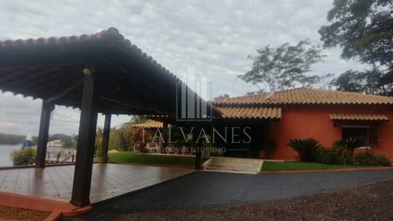 rchovivo17 - 13