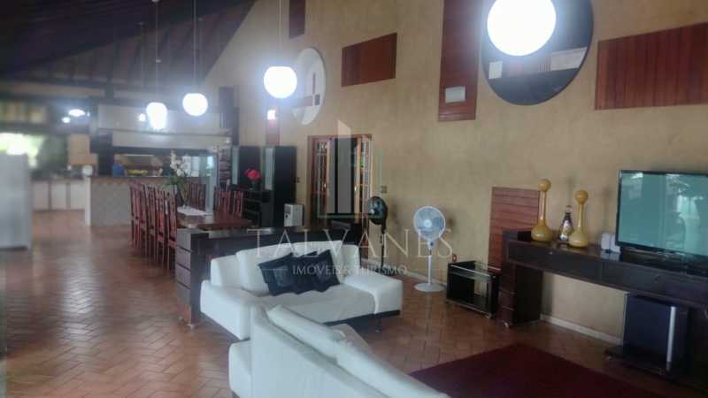 rchovivo15 - 15