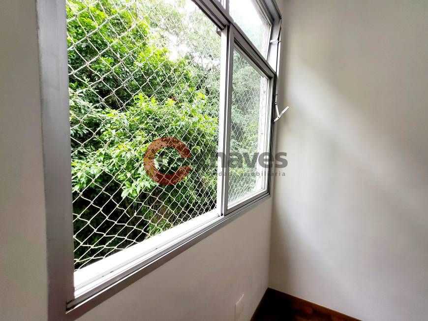 image - 12