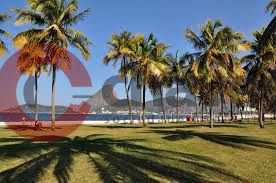 images_2 - 22