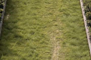 Imperdível - À venda terreno plano de 240 m2, no Engenho do Mato, Região Oceânica de Niterói - NTLT00005 Imperdível - À venda terreno plano de 240 m2, no Engenho do Mato, Região Oceânica de Niterói - NTLT00005