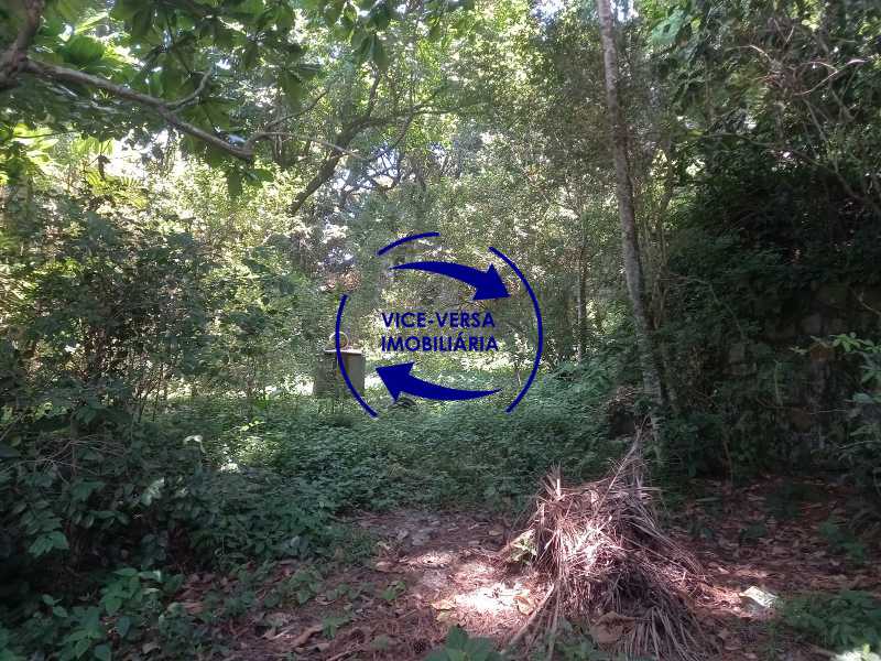 Terreno - 20
