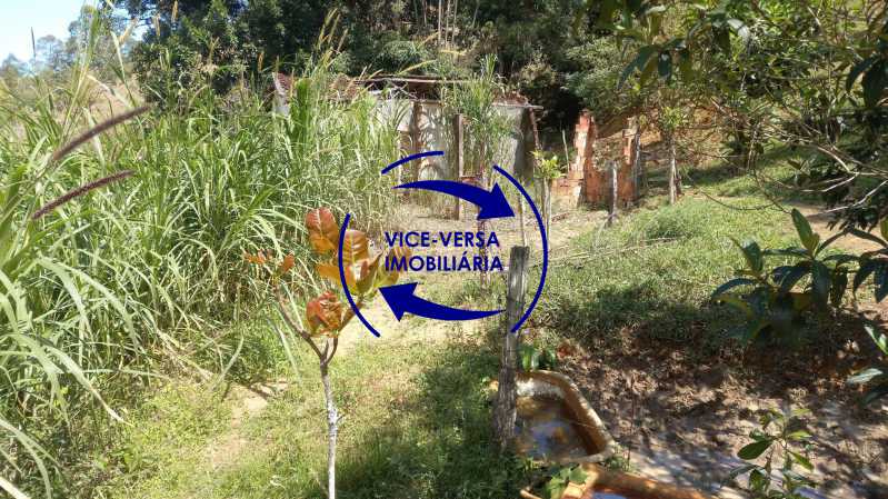 Design sem nome 4 - 7