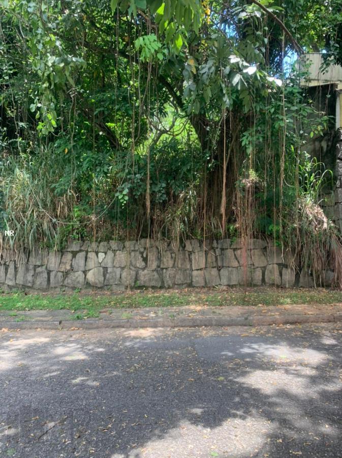 FOTO_1 - 8
