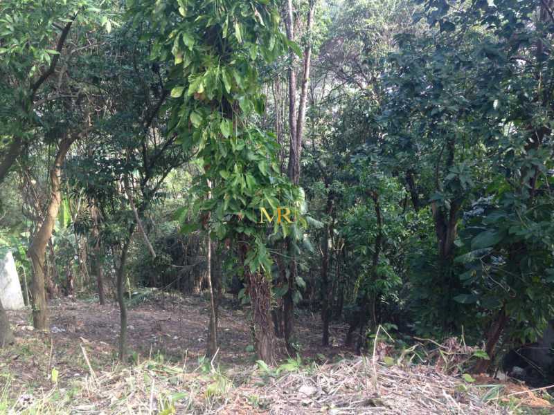 terreno - 1