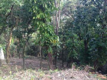 Terreno à Venda – 1.191 m² – Freguesia, Jacarepaguá – Condomínio Fechado com Declive e Potencial para Casa de Alto Padrão - DM156