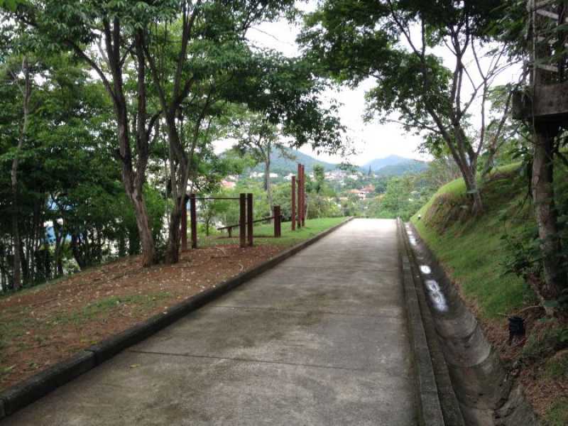 Bosque de Pendotiba - 18