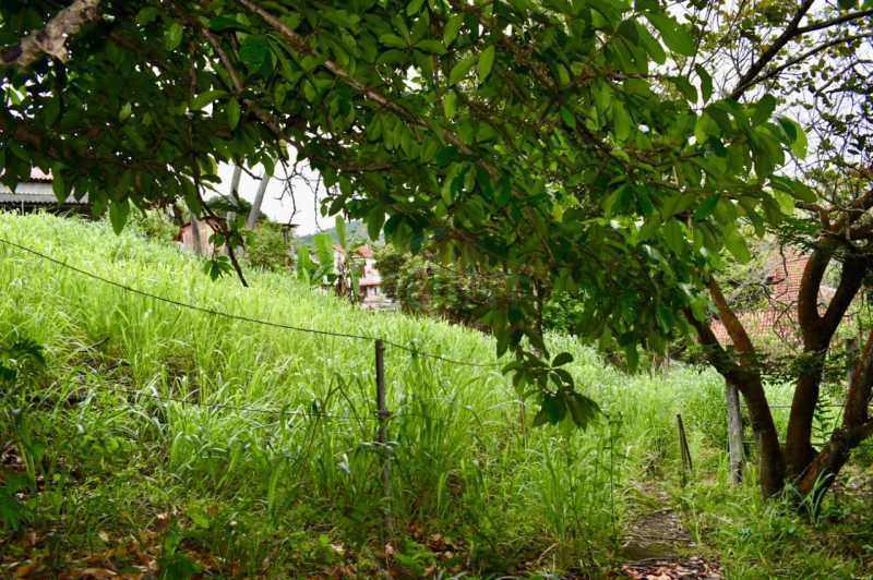 WhatsApp Image 2026-03-10 at 1 - 7