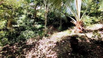 Terreno Residencial à venda Mata Paca, Niterói - R$ 490.000 - 4041