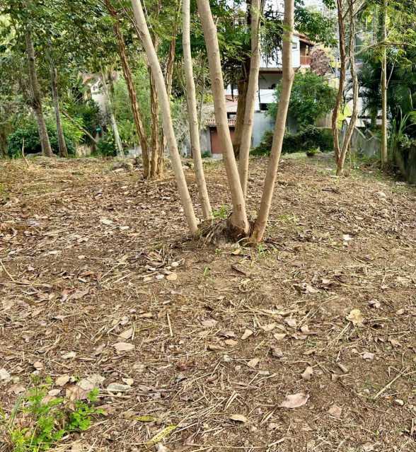 WhatsApp Image 2026-02-24 at 1 - 5