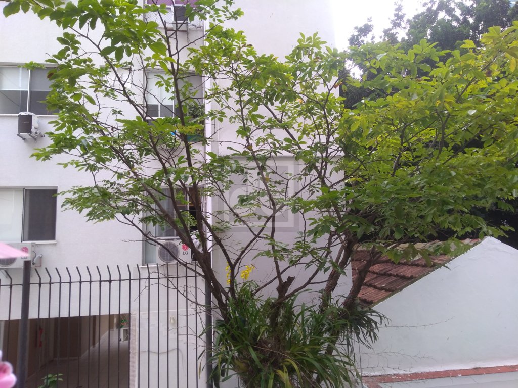 FOTO_2 - 3