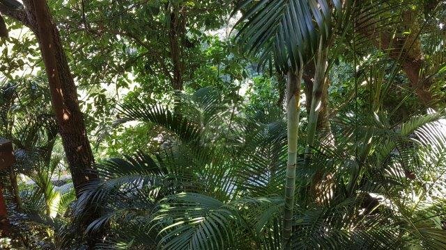 FOTO_10 - 10