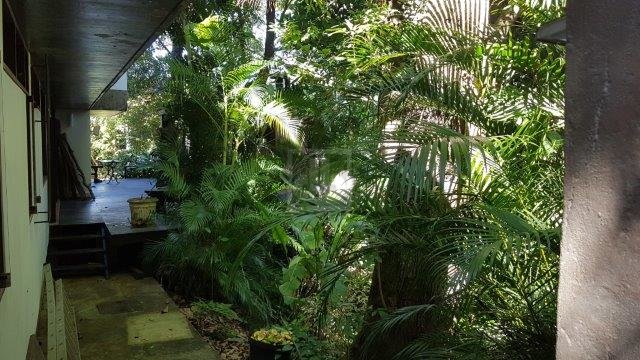 FOTO_3 - 3
