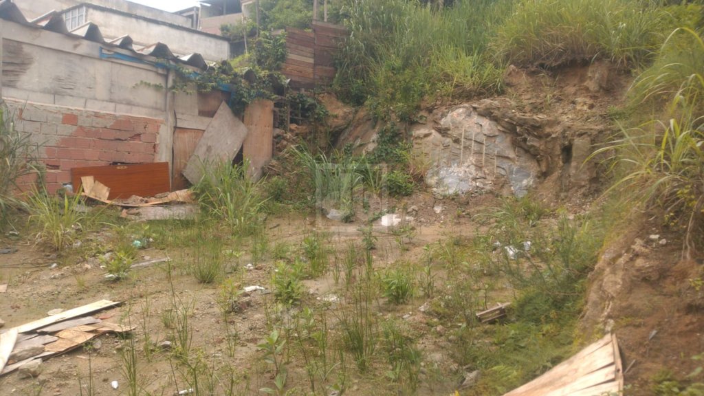 FOTO_1 - 1