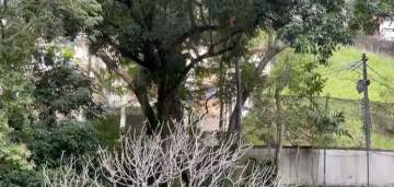 Cosme Velho - Terreno -636m2-Frente Instituto Roberto Marinho - JBF80116