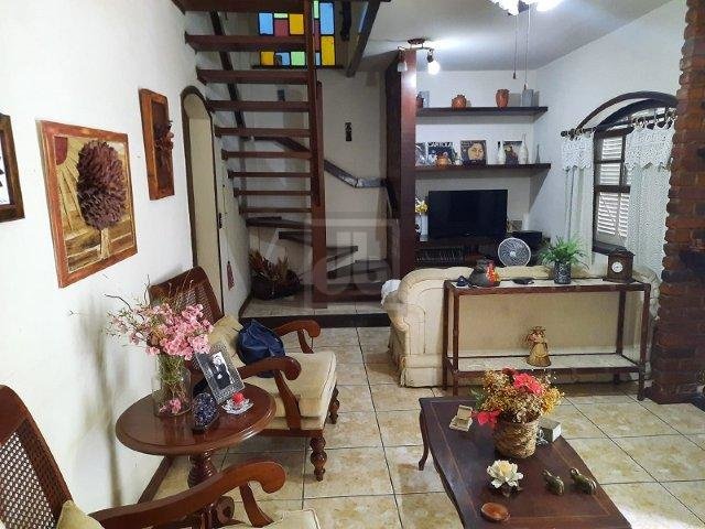 FOTO_7 - 7