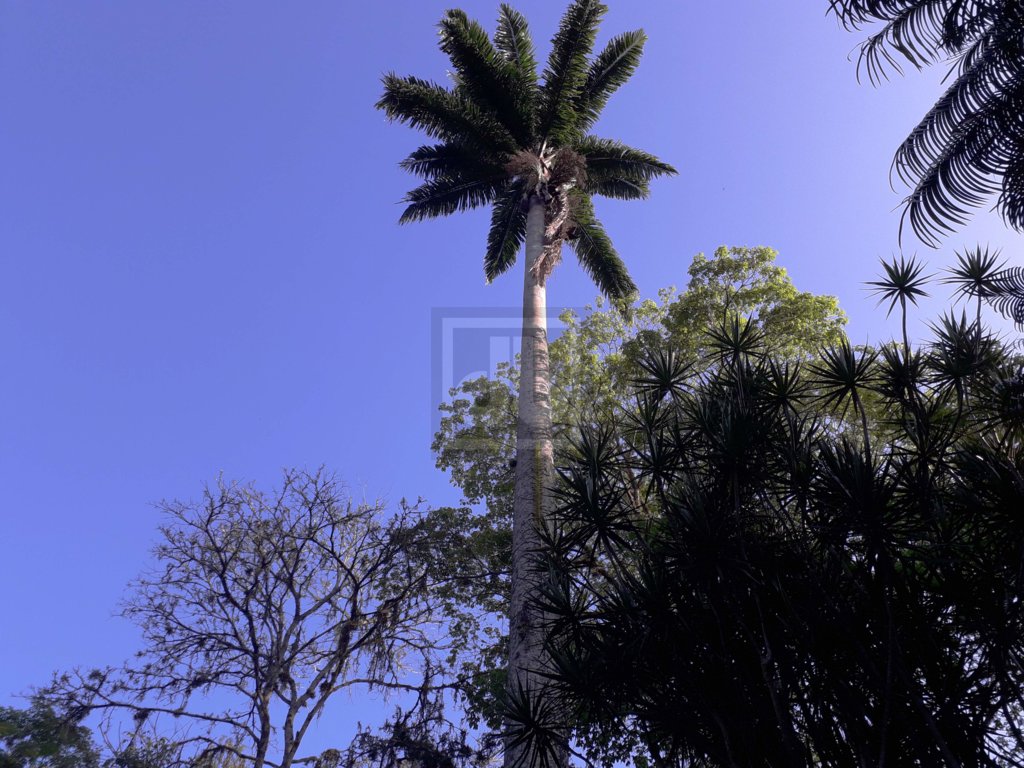 FOTO_4 - 8