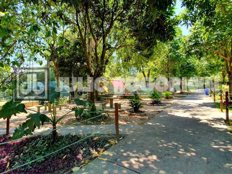 Ap bosque Mirataia-4 - 18