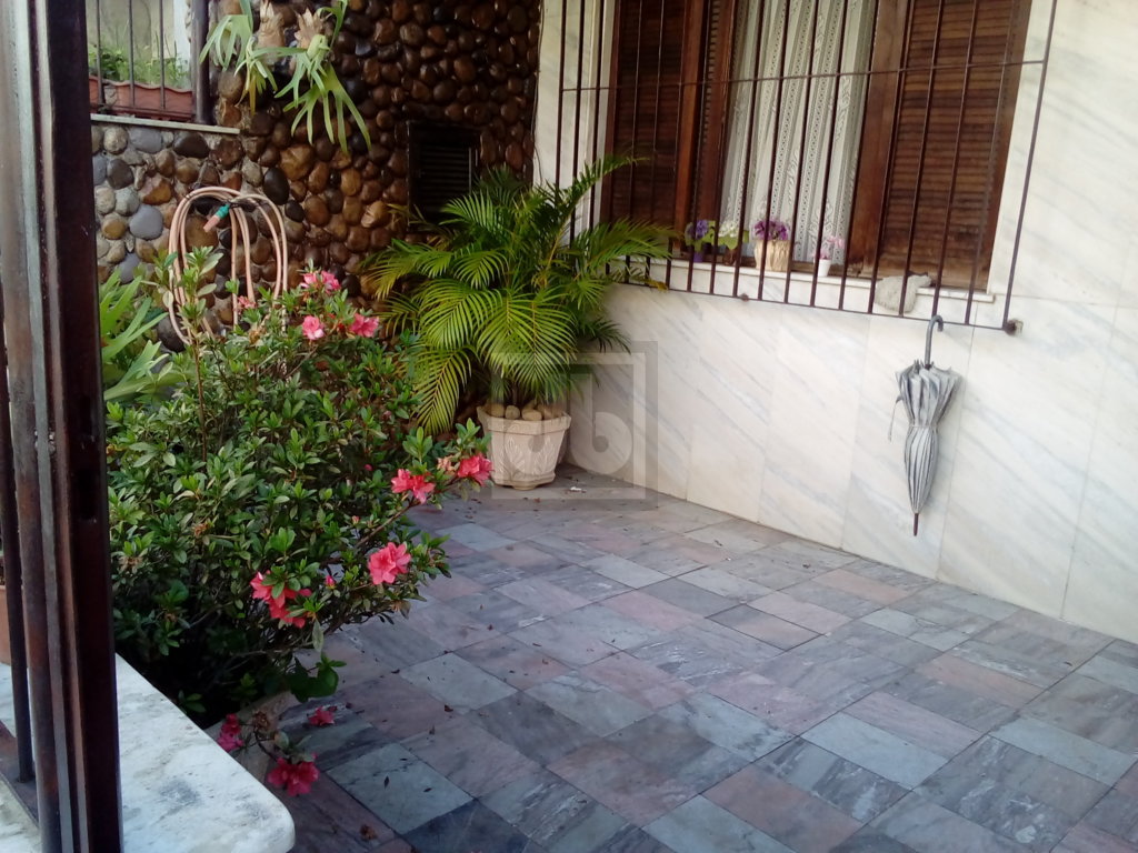 FOTO_2 - 3