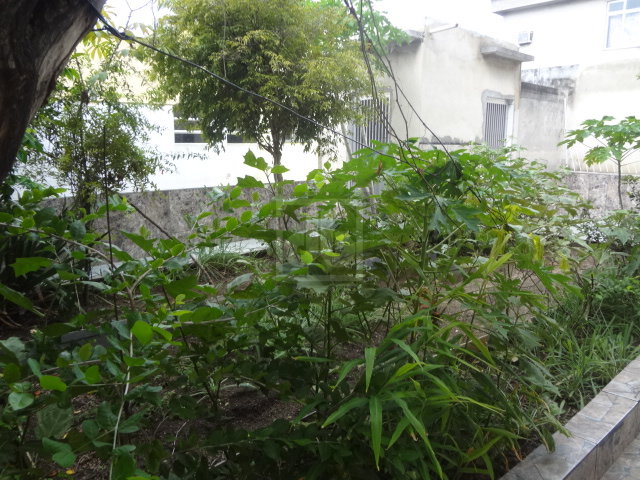 FOTO_15 - 15