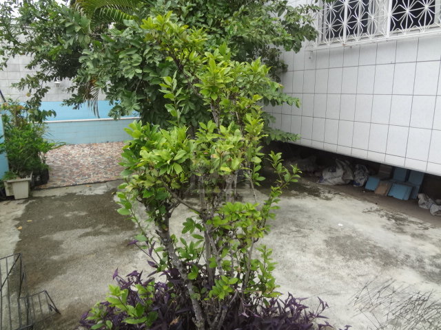 FOTO_17 - 17