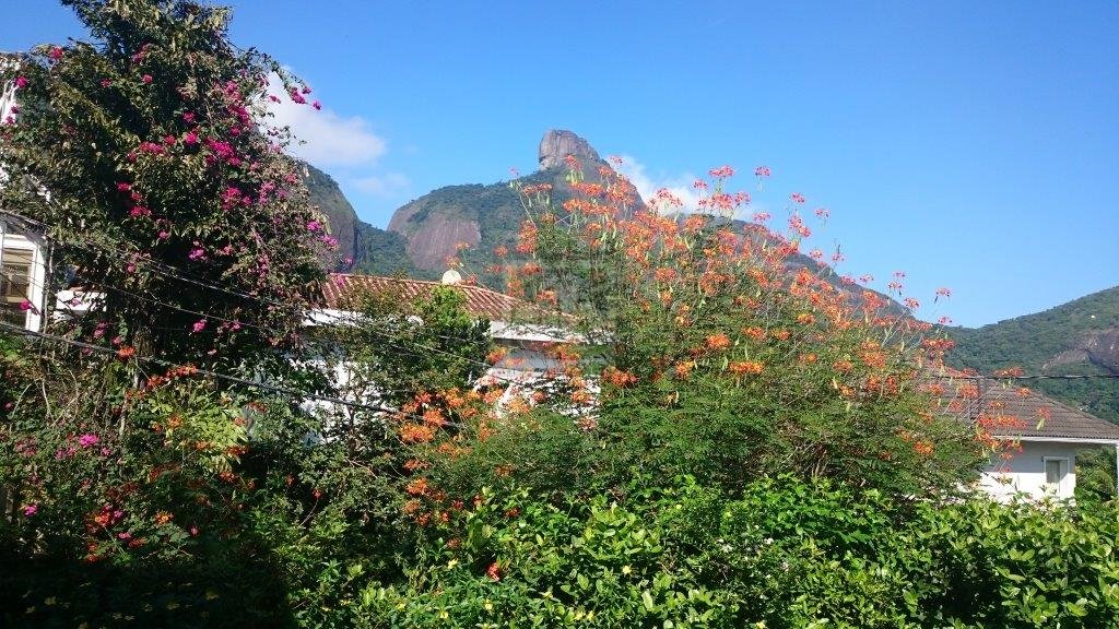 FOTO_11 - 12