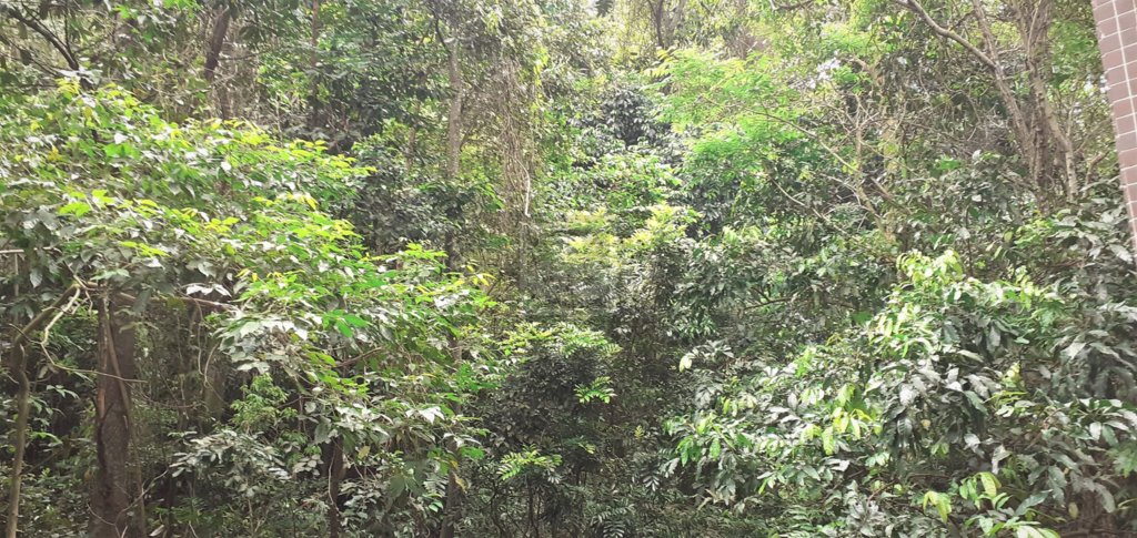 FOTO_4 - 4