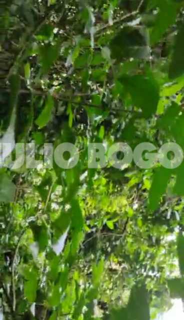 9639ccd1-1b03-45e7-bb95-046612 - 21