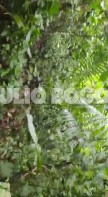 b558c96c-8533-4668-a007-028896 - 24