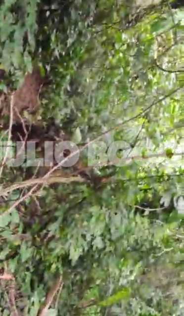 c6f444ce-a30b-4e40-a0eb-272cf2 - 25