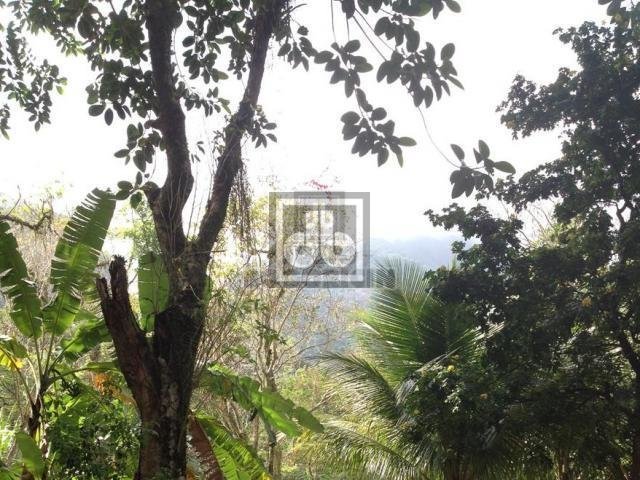 FOTO_16 - 16