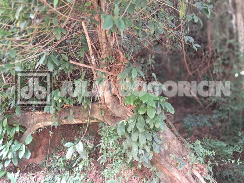 WhatsApp Image 2025-06-24 at 1 - 10