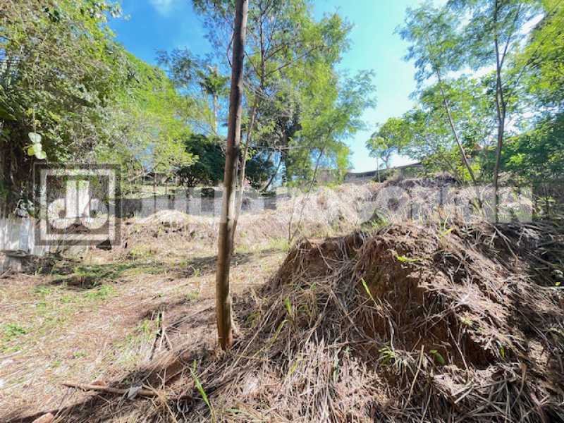 04cocotapraiacongonhasdocampos - 4