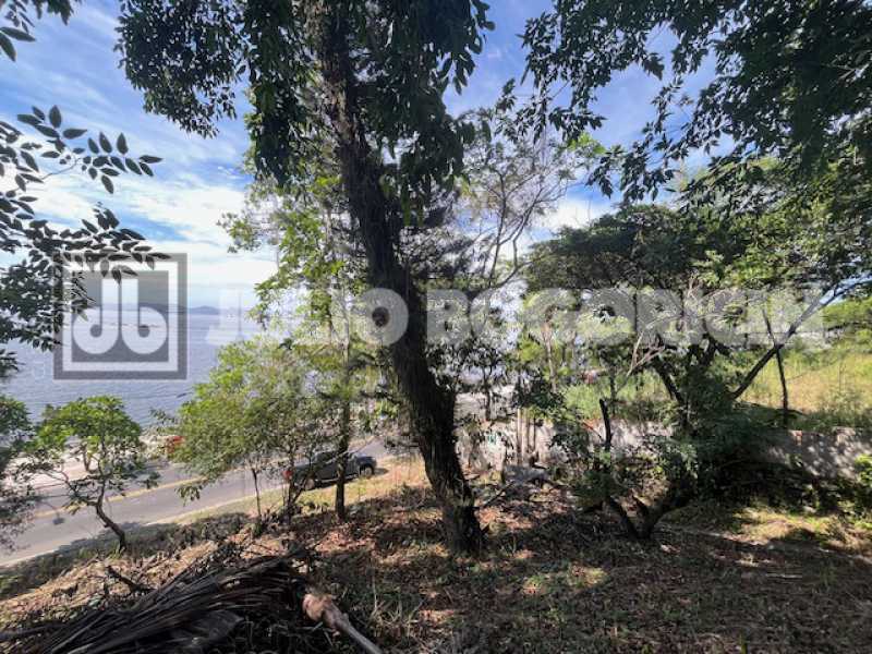 11cocotapraiacongonhasdocampos - 11