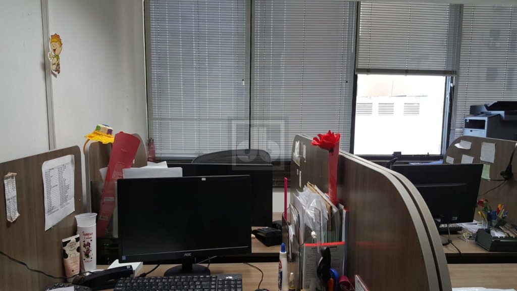 FOTO_11 - 11