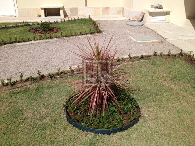 FOTO_3 - 6