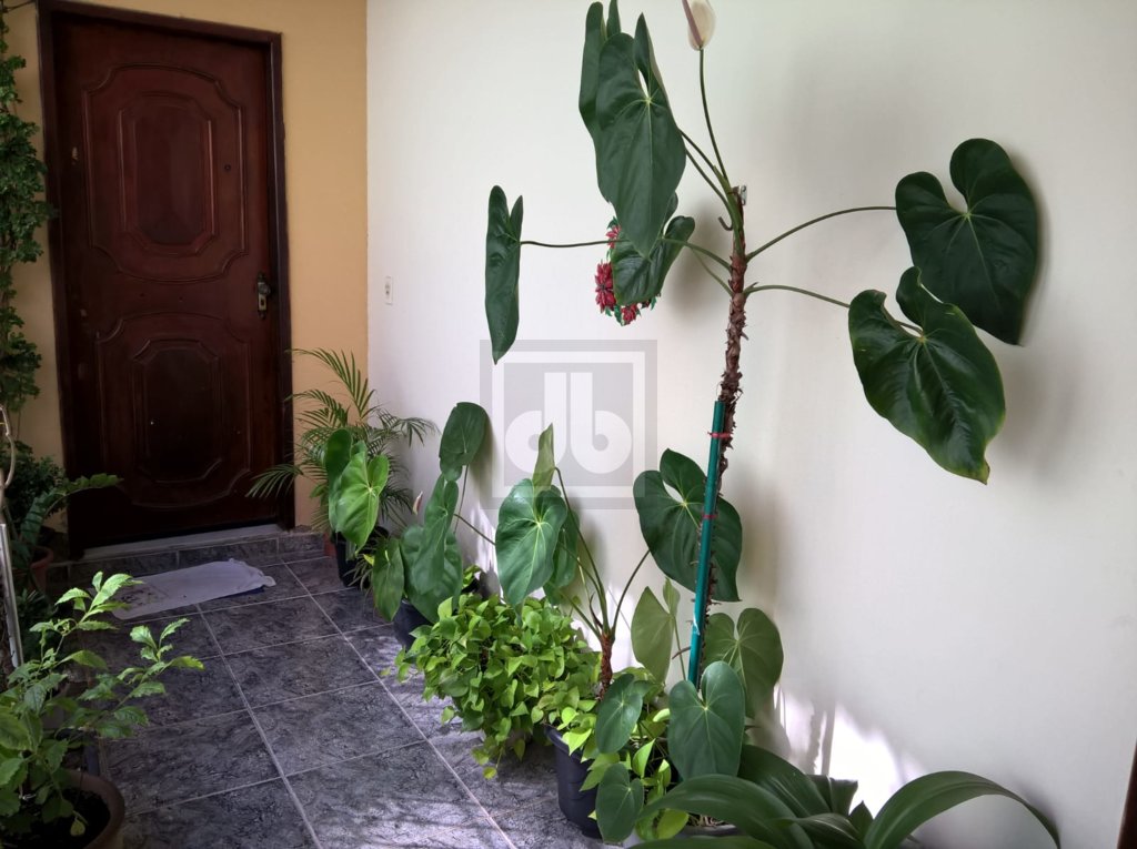 FOTO_2 - 4