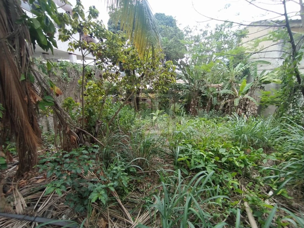 FOTO_1 - 2