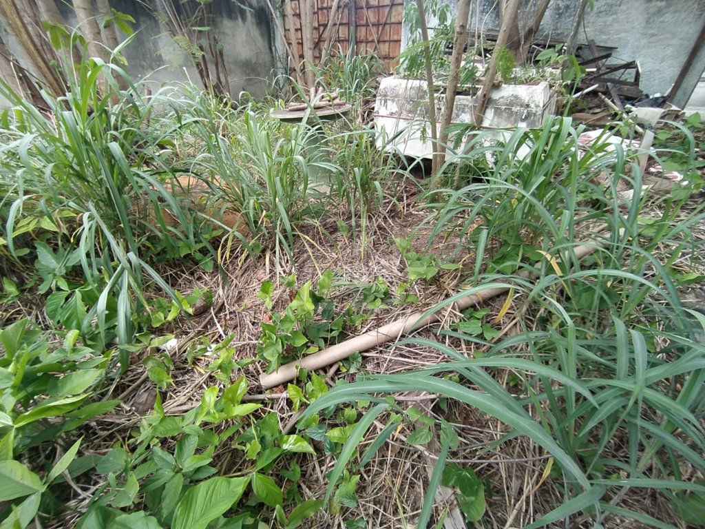 FOTO_10 - 10