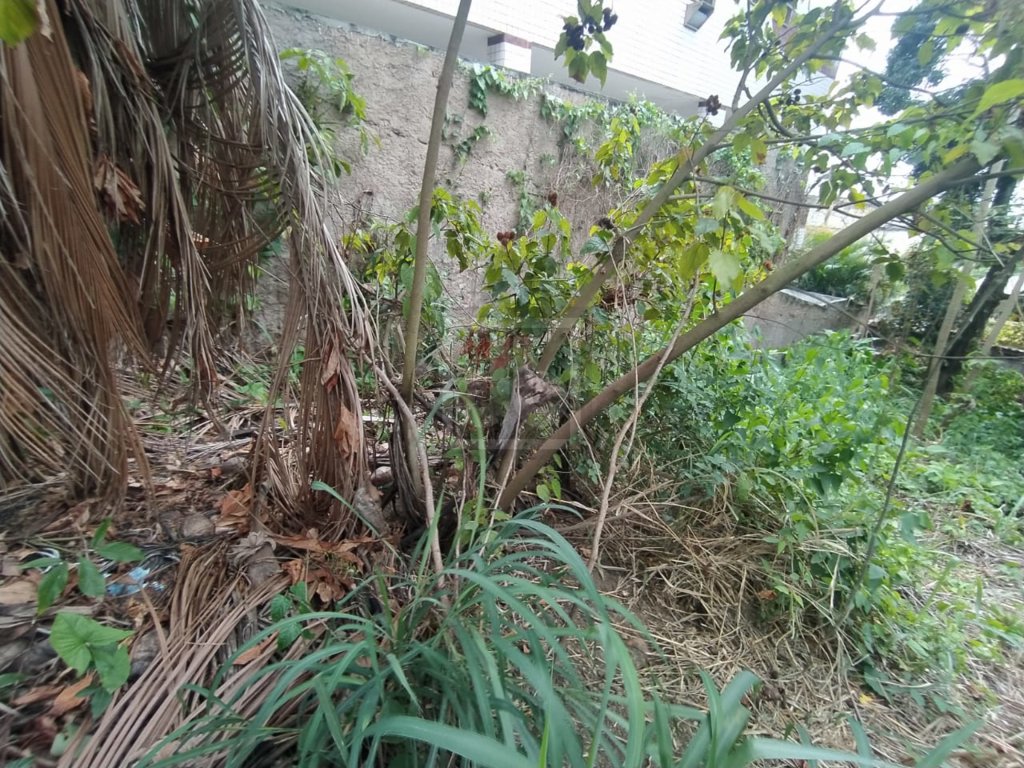 FOTO_11 - 11