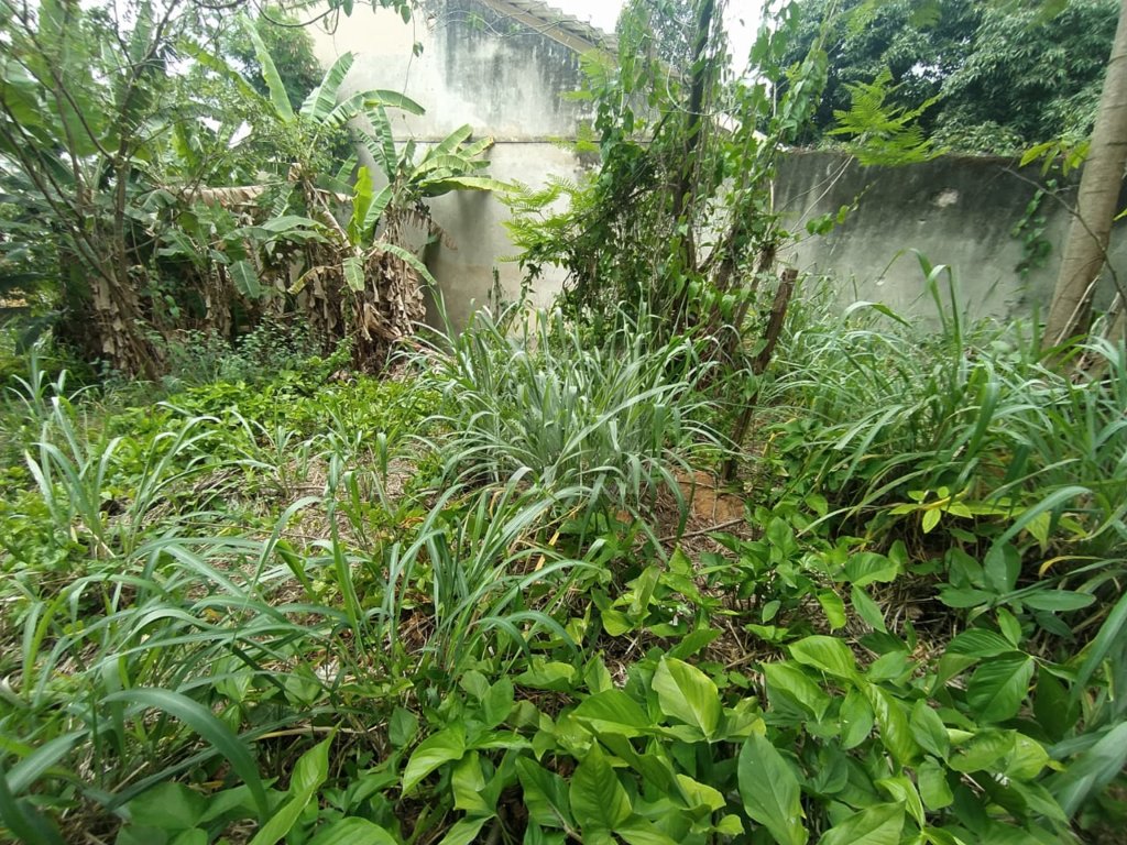 FOTO_13 - 13