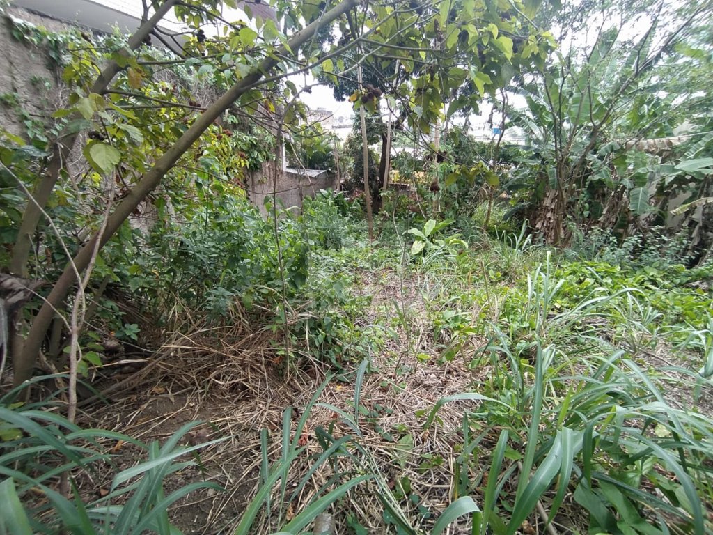 FOTO_15 - 15