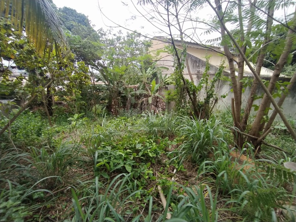 FOTO_2 - 3