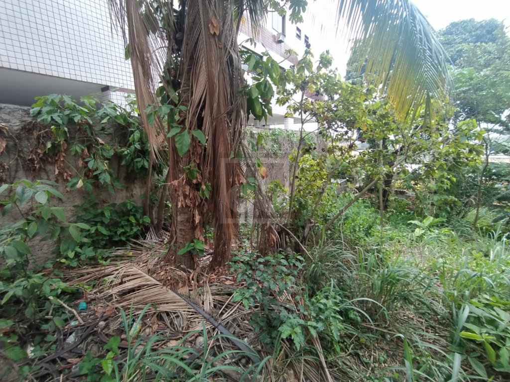 FOTO_3 - 4