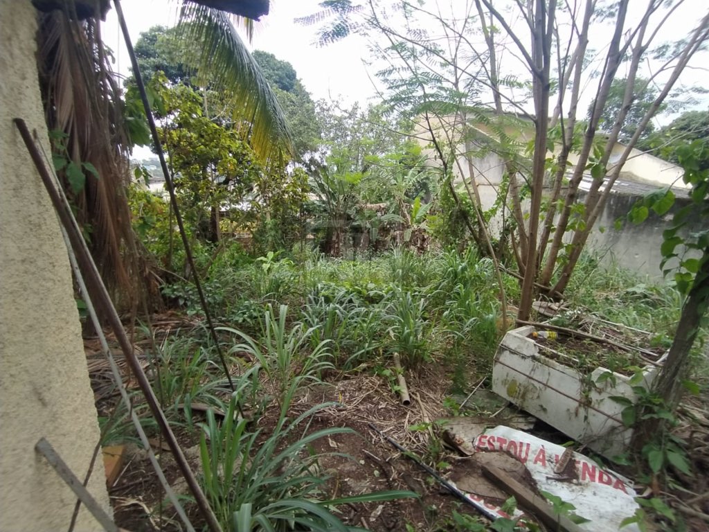 FOTO_4 - 5