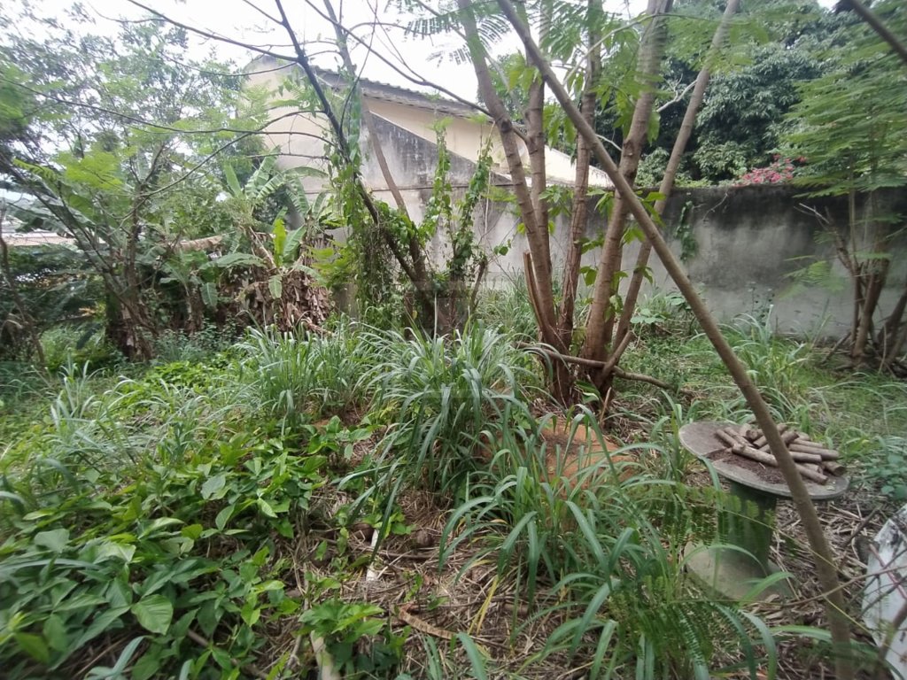 FOTO_6 - 6