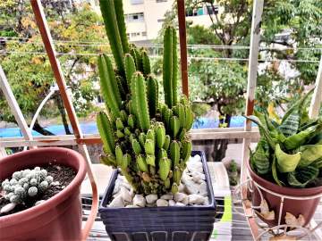 SALA, QUARTODOM DEPENDENCIA REVERTIDA, REFORMADO ! ENTRAR E MORAR!VISTA LIVRE, PANORÃMICA, INDEVASSÁVEL! - JBM102360