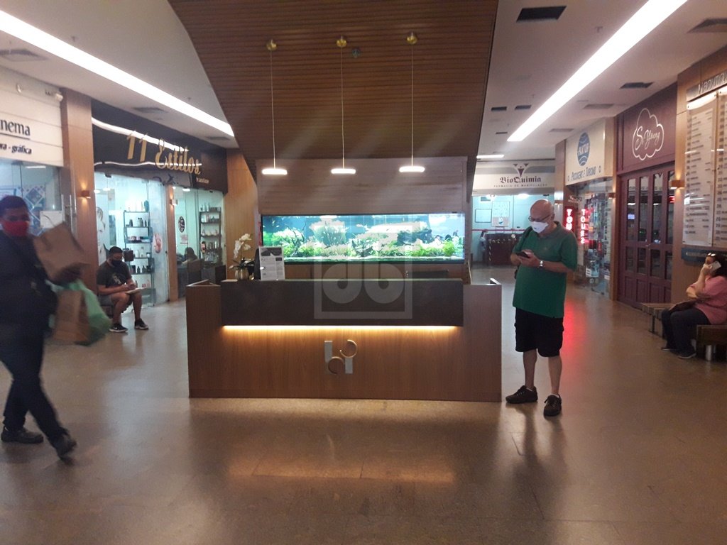 FOTO_1 - 1